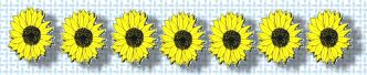 sunflower divider