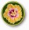 luau flower button graphic