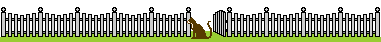 cat in fence dividing line graphic