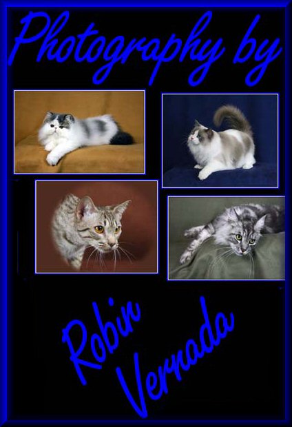abbreviated info on Robin Vernada