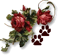 rose & pawprint graphic