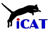 iCat logo