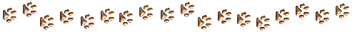 golden paw dividing line graphic