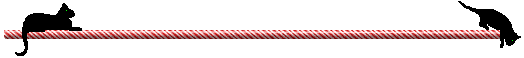 candy bar dividing line