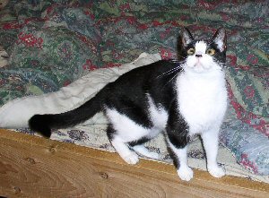 Karma at home in October 2006