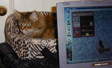 Sonja on the computer table
