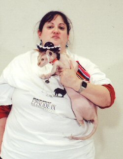 Fluffy as the Taco Bell Chihuahua