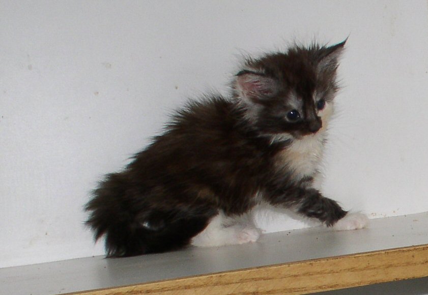 Heris baby picture