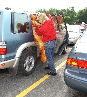 Deflating Garfield 9